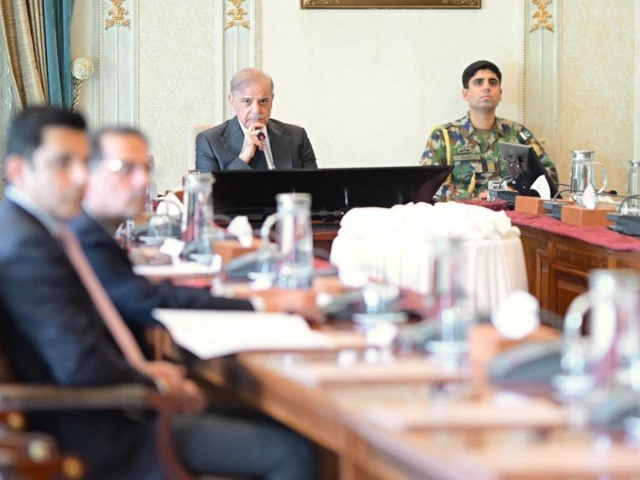 pm-shehbaz-sharif