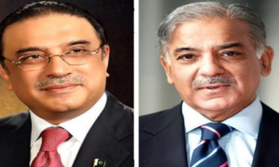 president-zardari-pm-shehbaz
