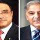 president-zardari-pm-shehbaz