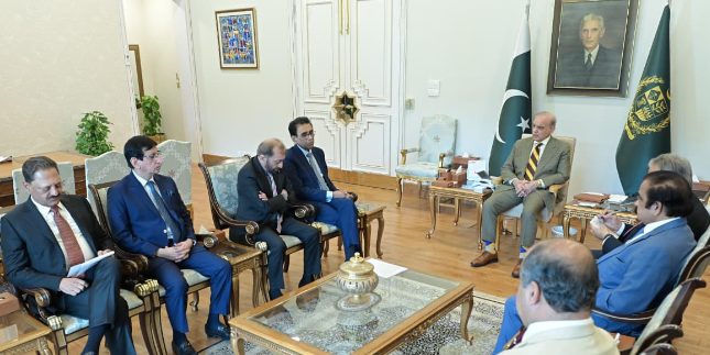 PM Shehbaz and MQM delegation