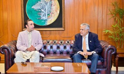 DPM Dar, PPP Chairman Bilawal