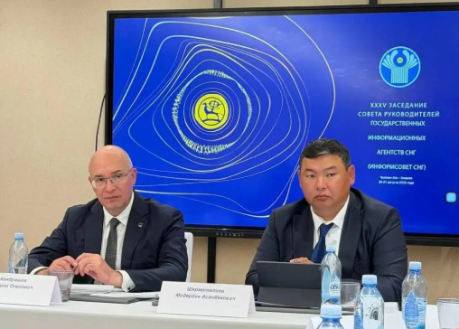 35th meeting of CIS Information Council