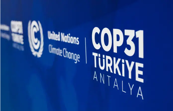 COP31