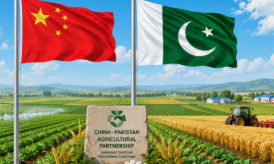 China-Pakistan flag