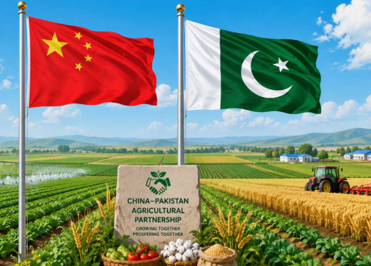 China-Pakistan flag