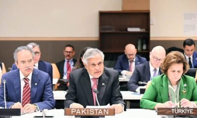 Senator Mohammad Ishaq Dar