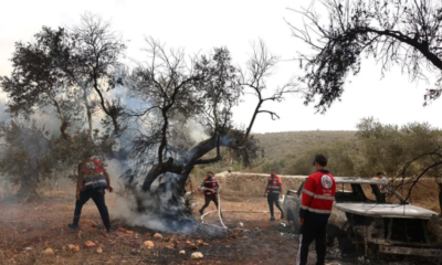 alestinian olive farmers in West Bank