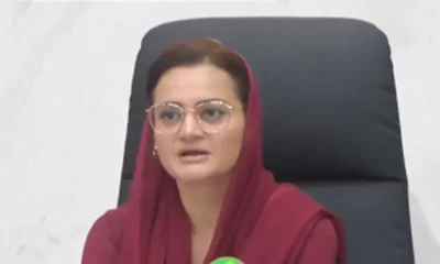 Information Minister Punjab