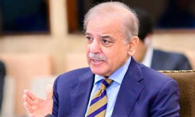 27ویں ترمیم پر صدر زرداری کو بھی اعتماد میں لیا، وزیر اعظم شہباز شریف