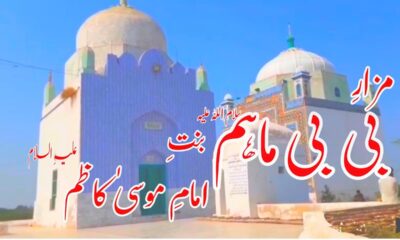 bibi maham daughter of Imam Mosa Kazim a.s