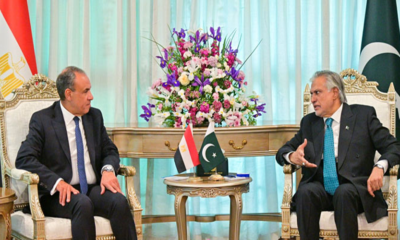 ishaq-dar-meet-egypt-fm