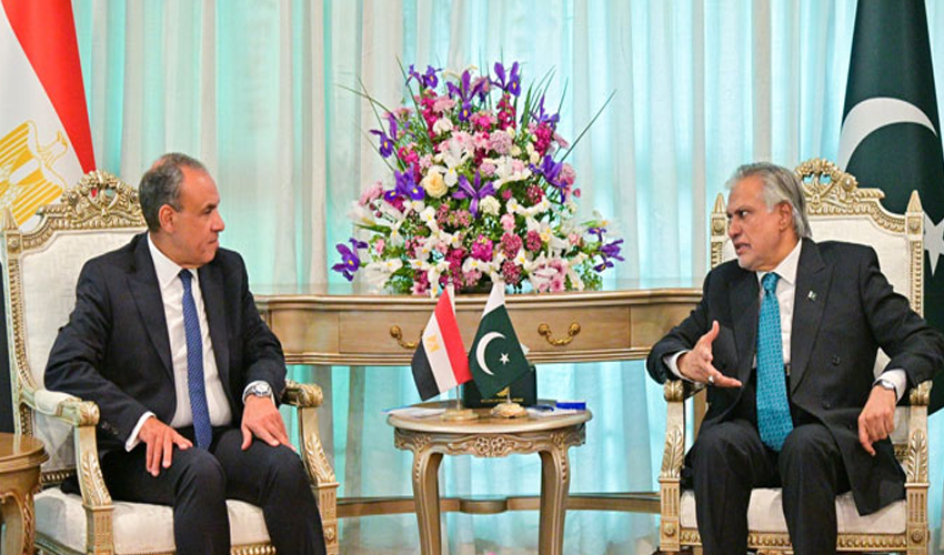 ishaq-dar-meet-egypt-fm