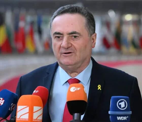 israel defese miister