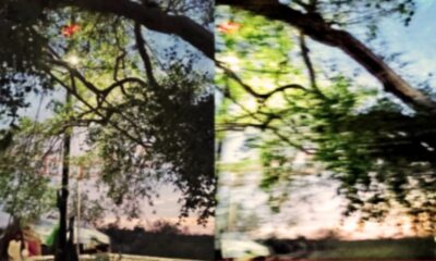 Bibi Maham SA Shrine