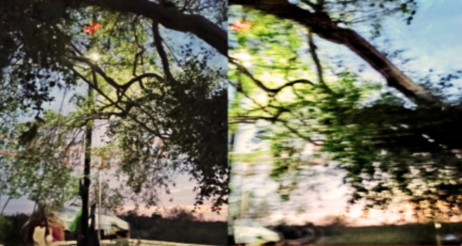 Bibi Maham SA Shrine