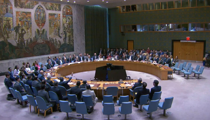 UN Security Council