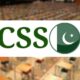 css-result