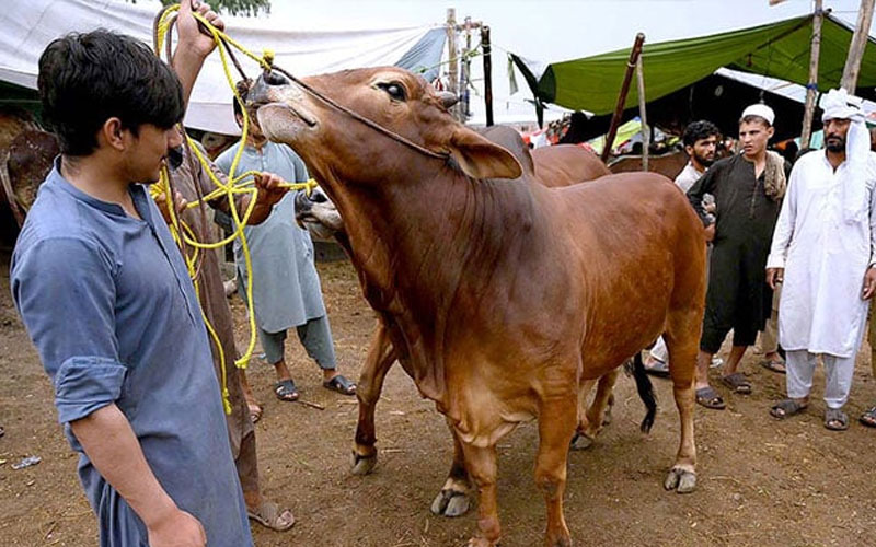 eid-ul-adha