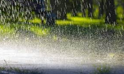 kp-rain