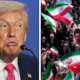 trump-iran