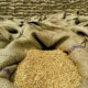 Wheat