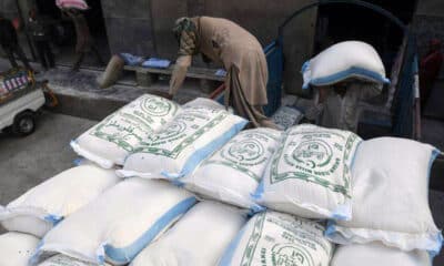 Wheat prices in pakistan
