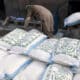 Wheat prices in pakistan