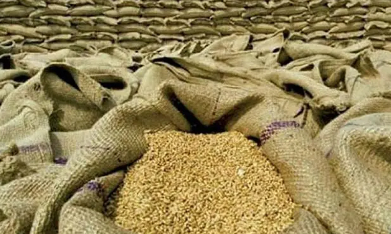 Wheat