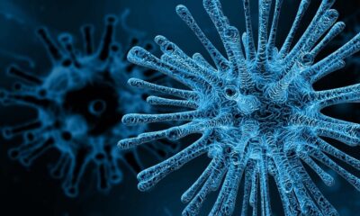 china-virus