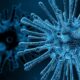 china-virus