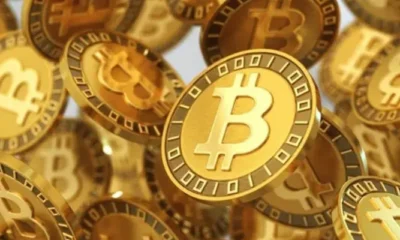 crypto salate