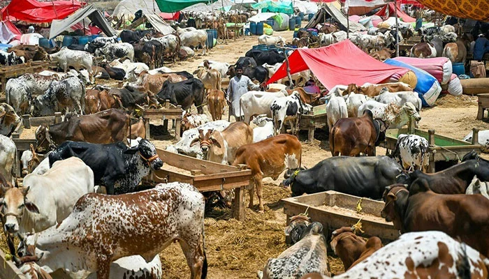 eid ul aza