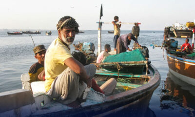 fishing-reforms
