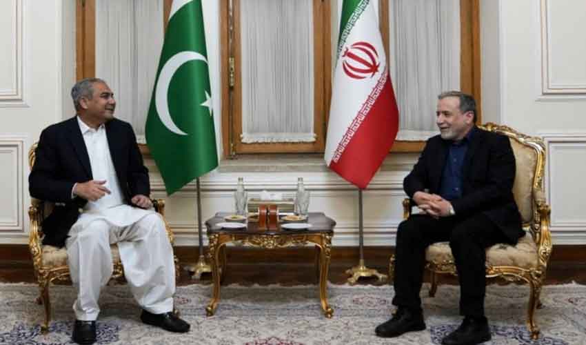 naqvi-meets-with-iranian-fm