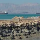 strait of hormuz