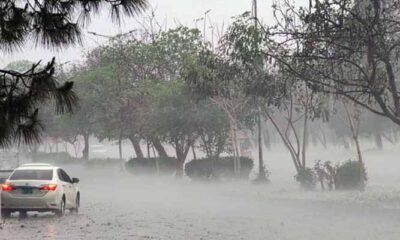 rain
