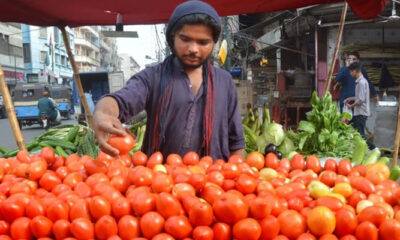 Tomato