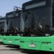 electric-busses