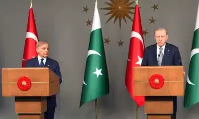 pm-shehbaz-sharif and erdogan