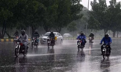 rain