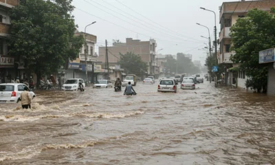 rain