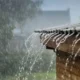 rain