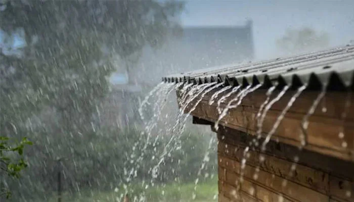 rain