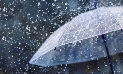 rain