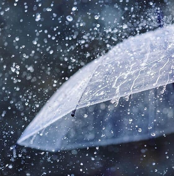 rain