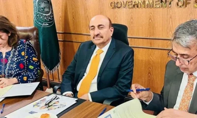 sindh education department