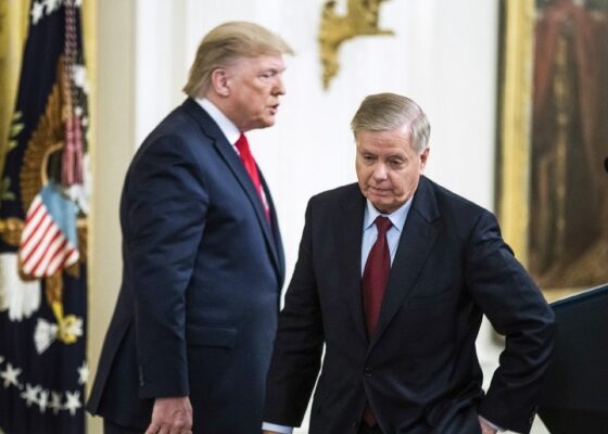trump, Lindsey Graham