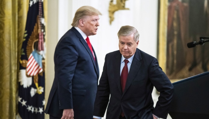 trump, Lindsey Graham