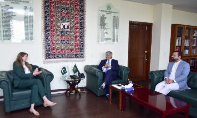 Azam Nazeer Tarar with UK High Commissioner