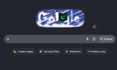 google featuring pakistani flag